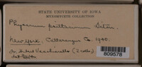 Image Associated With the Occurence